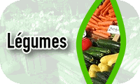 Voir tous les lgumes (101)