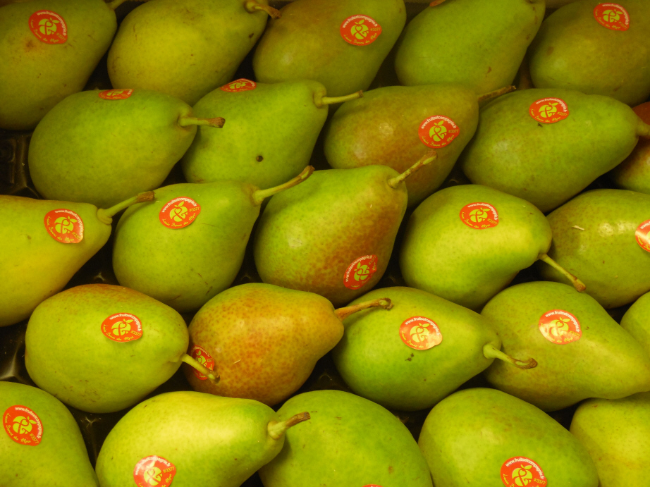 Poire Louise-Bonne