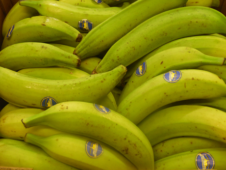 Banane plantain verte