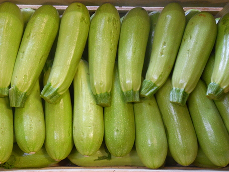 Courgette blanche