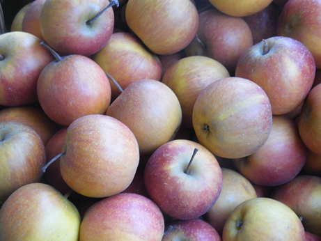 Pomme Rubinette