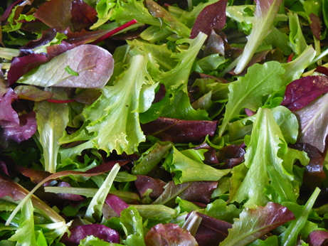 Salade Mesclun