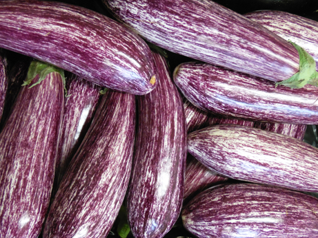 Aubergine violette