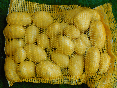 Pommes de terre Agata