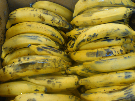 Banane Plantin jaune