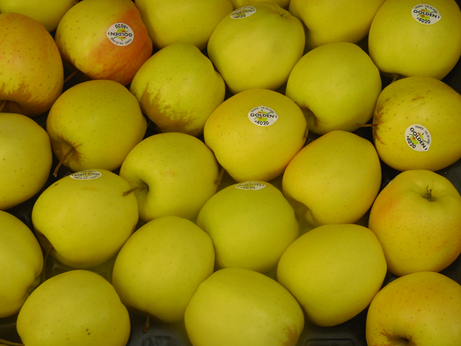 Pomme Golden
