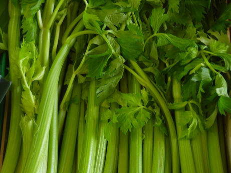 Celeri Branche