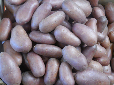 Pommes de terre Roosevalt